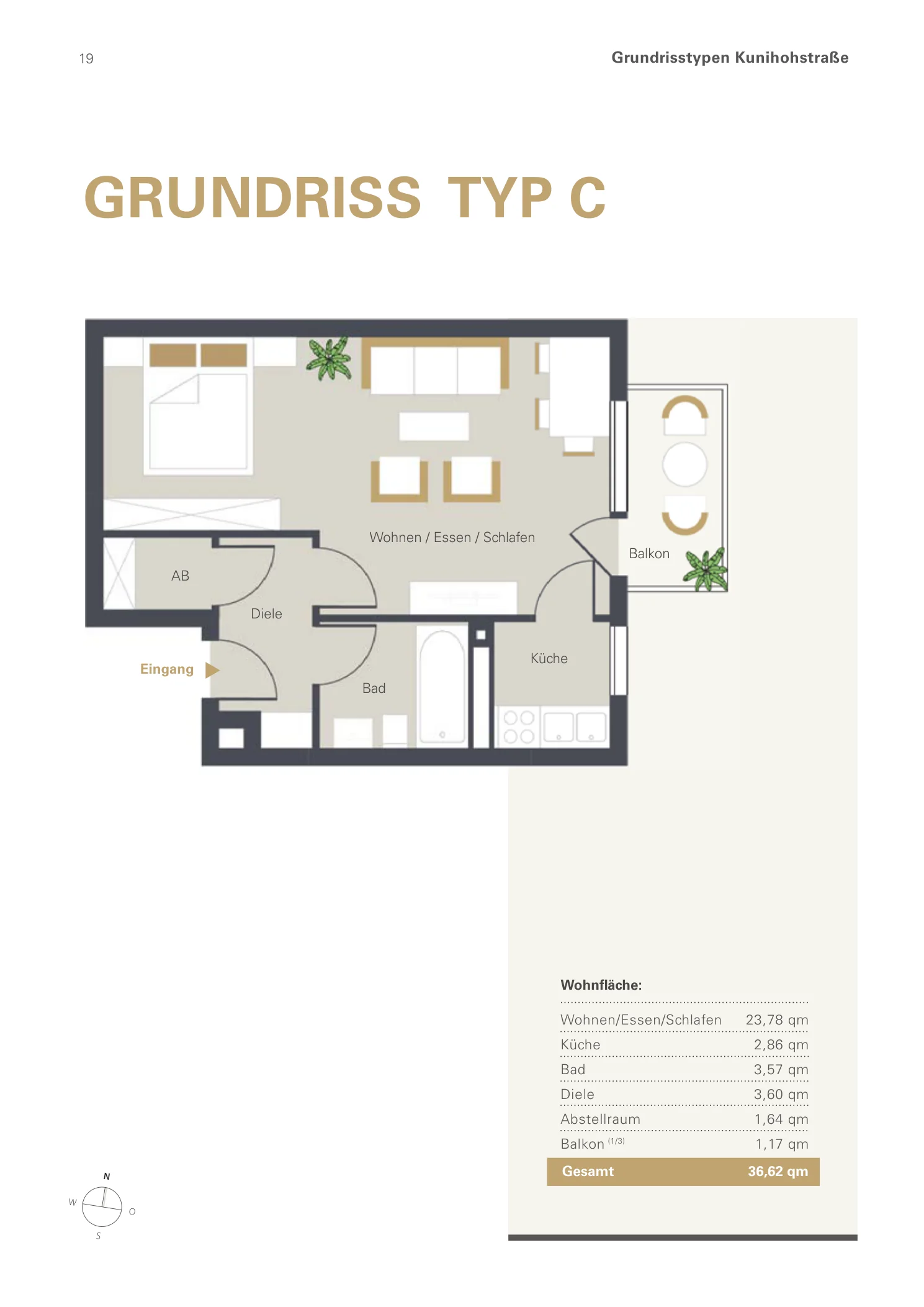 Grundriss der 1 - Zimmer - Wohnung Typ C mit 36,62 Quadratmetern